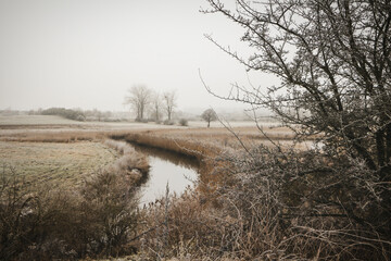 Zimowy krajobraz na mokradłach. Mglisty poranek.  A winter landscape in the wetlands. Foggy...