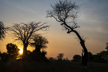 blue sky over the savannah of Africa