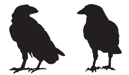 Ink pen vector set of silhouettes of crows isolated on white background. Elements for design,tattoo and printing	