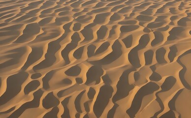 Fototapeta na wymiar Colorado desert golden sand with sunshine, Desert sands, sand ripples in the desert, summer desert