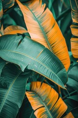 A close up view of a bunch of green leaves. This image can be used to represent nature, foliage, plants, or environmental concepts