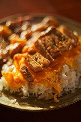 fried pork cutlet curry with rice