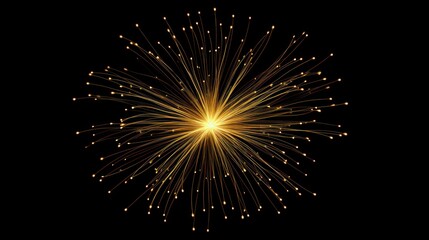 Obraz premium fireworks in the night sky