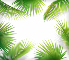 Realistic Palm tree frame composition