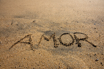 Seaside Serenade: Expressions in the Sand