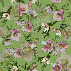 botanical graphic flowers. seamless pattern with vegetation