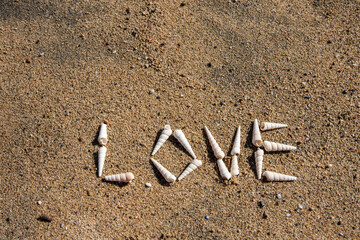 Coastal Affection: Love Spelled in White Shells