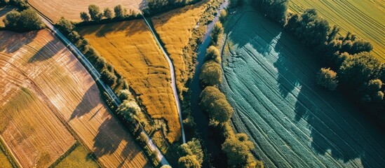 Aerial top down drone photo of country road among the fields. Copy space image. Place for adding text