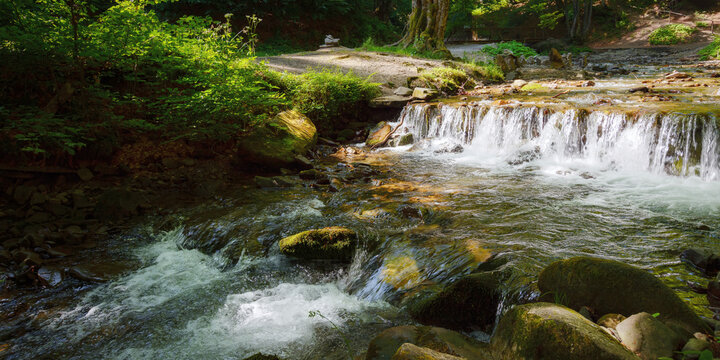 shypit water stream in the forest. carpathian nature scenery with small cascades and and stones. sunny morning in summer