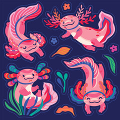 Obraz premium Sticker set of four cute pink cartoon axolotls, amphibian creatures are floating in the seaweeds