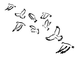 Flying birds silhouette flock. hand drawing. Not AI, Vector illustration