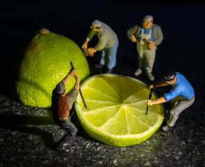 Miniature puppets with lime