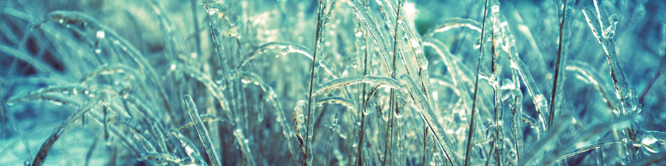 Icy grass in winter. Winter field after freezing rain. Nature background. Horizontal banner
