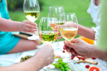 People toasting wineglasses on picnic