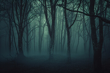 Fototapeta premium creepy dark forest