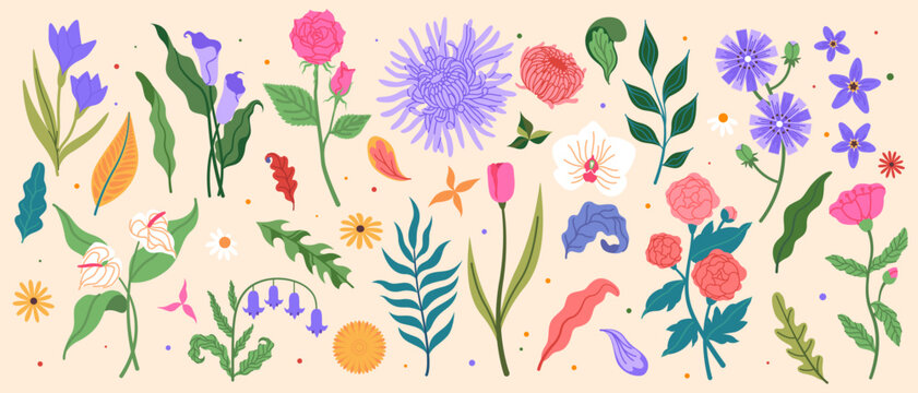 Simple flowers. Floral elements. Tropic leaves. Tulip bud. Chrysanthemum and peony. Vintage pattern daisy. Iris or calla stem. Fern twigs. Blooming blossoms. Vector minimal garden botanical plants set