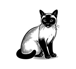 Siamese Cat hand drawn vector graphic asset