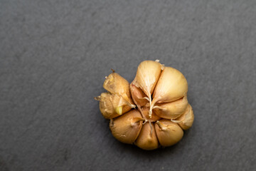 Head of garlic on a black background top view. Dry garlic with yellow edges.