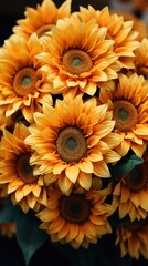 flowers in a fachionable UHD Wallpaper