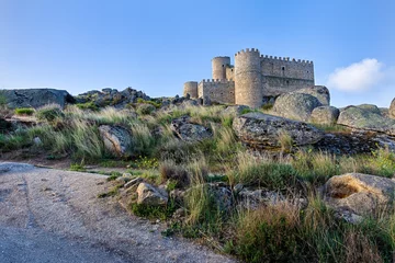 Papier Peint photo Lavable Cerro Torre Manqueospese medieval castle at Sierra Parameera in Sotalvo. Avila. Spain. Europe.