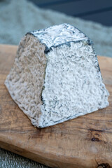 Cheese collection, French Pouligny pyramid cheese made from goat milk in region Pouligny-Saint-Pierre in France close up