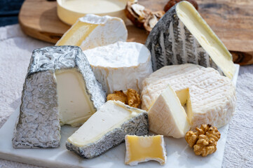 French cheeses collection, Perail les Buissieres sheep cheese, neufchatel cow milk cheese, tomme de chevre goat cheese, Valencay black pramid goat cheese milk served on marble board