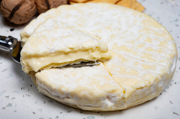 French soft Cremeux de Normandie cheese, soft creamy cheese with white mold