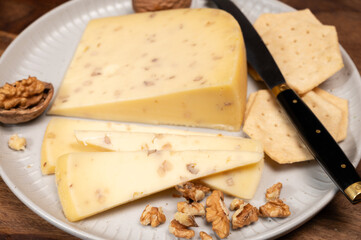 Piece of Dutch Gouda cheese made from cow milk with added walnuts close up