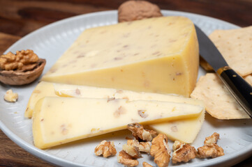 Piece of Dutch Gouda cheese made from cow milk with added walnuts close up