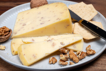 Piece of Dutch Gouda cheese made from cow milk with added walnuts close up