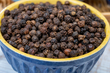 Indian spices collection, dried black peppercorns, kitchen spices