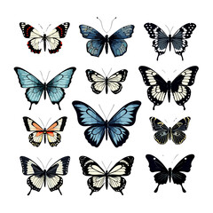 butterfly silhouette, butterfly svg, butterfly png, butterfly illustration, butterfly clipart, butterfly, insect, wing, nature, animal, fly, beauty, wings, swallowtail, yellow, vector, macro, summer, 