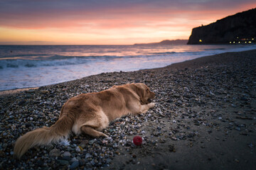 Panoramic sunset view from Finale Ligure at Mediterranean Sea with dog, Italy