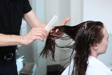 Naklejka premium The hands of a male hairdresser comb the long hair of a client in a barbershop. A young girl with long hair in a beauty salon. Concept of beauty.