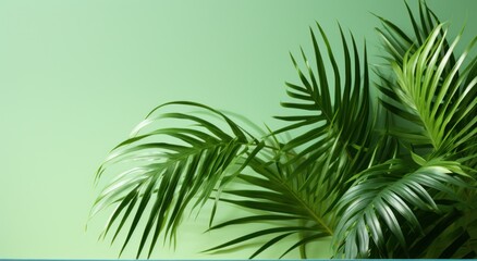 green palm leaves against a green wall