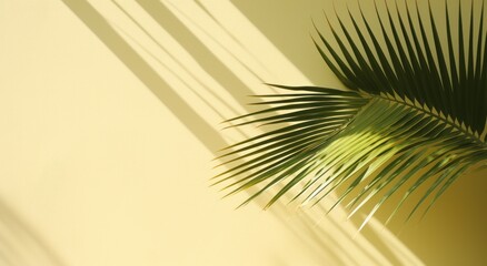 a palm tree leaves in front of a wall with sunlight
