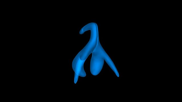 4k Anatomical Clitoris technology video, Anatomical Clitoris technology video, Anatomical Clitoris 360 turn, Anatomical Clitoris wireframe video