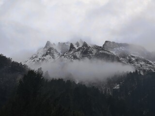 Majestic mountain shrouded in mist, adorned with verdant trees, beneath a grey sky filled with billowing clouds.