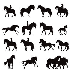 Vector silhouette of different people riding horses on white background. Symbol of animal and horse riding.