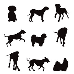 Collection of vector silhouette of different breed on white background. Symbol of pet and dog.