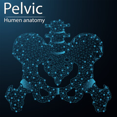 Human bones of the pelvis and hip anatomy organ translucent low poly triangle futuristic glowing. On dark blue background. Skeleton system disease medical innovation concept. - obrazy, fototapety, plakaty