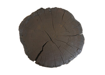 cross section of tree trunk isolated on white background. This has clipping path.