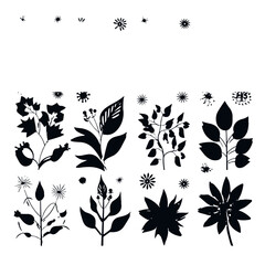 flower vector, flower silhouette, flower svg, flower png, herb png, herb silhouette, flower, pattern, vector, floral, seamless, illustration, design, flowers, set, spring, art, nature, wallpaper, deco