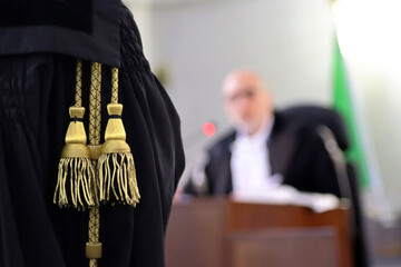 A lawyer's speech during a trial in an Italian court, with the judge blurred in the background - obrazy, fototapety, plakaty