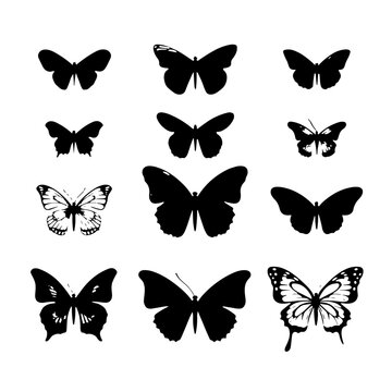 butterfly silhouette, butterfly svg, butterfly png, butterfly illustration, butterfly clipart, butterfly, insect, wing, nature, animal, fly, beauty, wings, swallowtail, yellow, vector, macro, summer, 