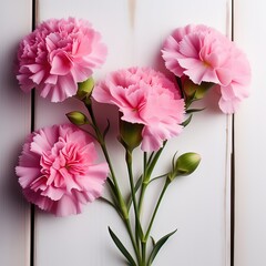 Vibrant Pink Carnations with Soft Petals and Ribbon Bow on White Wooden Background