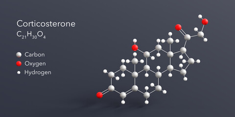corticosterone molecule 3d rendering, flat molecular structure with chemical formula and atoms color coding