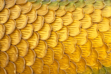 Golden Naga scales.Close up of naga skin for pattern texture background.