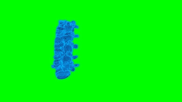 4k Anatomy Vertebrae Lumbar green screen technology video. Anatomy Vertebrae Lumbar technology video, Anatomy Vertebrae Lumbar 360 turn, Anatomy Vertebrae Lumbar wireframe video	
