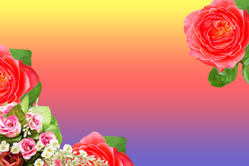 Pink and red roses bouquet with free space for text background